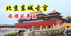 日日夜夜操操操中国北京-东城古宫旅游风景区
